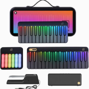 Smart Piano Keyboard,59-Key Digital Piano for Beginners,Rainbow LED Lights&Free Apps,256 Voices,100+ Auto Chords,MIDI Support,Portable Piano Keyboard,Gift for Birthdays or Holidays