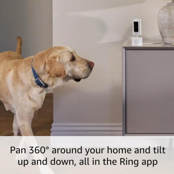 Ring Pan-Tilt Indoor Cam | See all around with 360° pan coverage, HD video, plus Two-Way Talk (2024 release) | White - Image 3