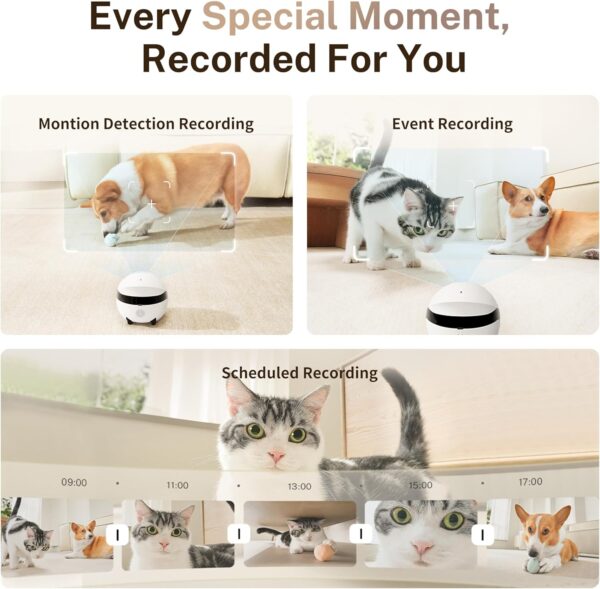 Enabot EBO 2K Camera Robot ROLA Mini: Movable Pet Camera Battery-Powered with Phone App, Indoor Cam w/One-Touch Call, 2-Way Talk, Night Vision, Motion Detection, Video Recording - Image 8