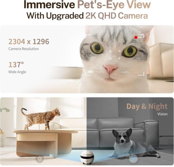 Enabot EBO 2K Camera Robot ROLA Mini: Movable Pet Camera Battery-Powered with Phone App, Indoor Cam w/One-Touch Call, 2-Way Talk, Night Vision, Motion Detection, Video Recording - Image 4
