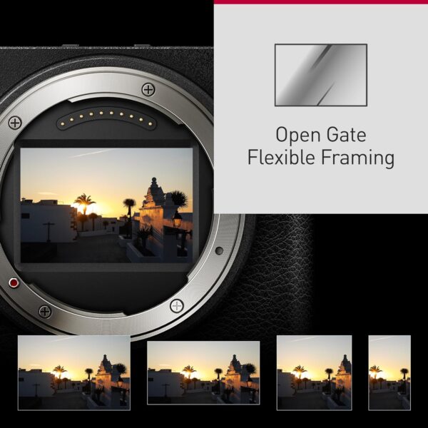 Panasonic LUMIX S9 Mirrorless Camera, 24.2MP Full Frame with Phase Hybrid AF, New Active I.S. Technology - DC-S9BODYK (Black) - Image 9