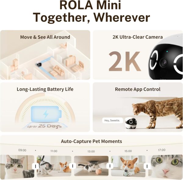 Enabot EBO 2K Camera Robot ROLA Mini: Movable Pet Camera Battery-Powered with Phone App, Indoor Cam w/One-Touch Call, 2-Way Talk, Night Vision, Motion Detection, Video Recording - Image 2
